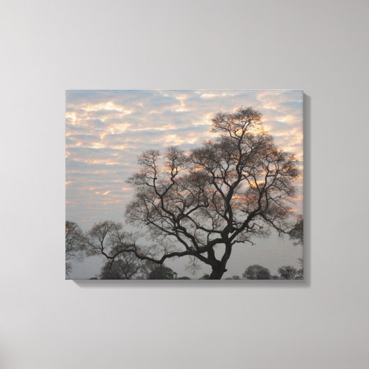 Pantanal Wetlands | Zuid-Amerika, Brazilië Canvas Afdruk (Voorkant)