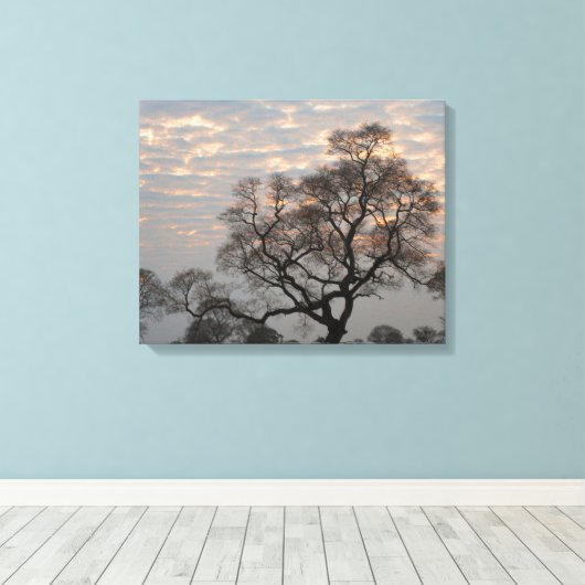 Pantanal Wetlands | Zuid-Amerika, Brazilië Canvas Afdruk (Insitu (Houten vloer))