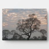 Pantanal Wetlands | Zuid-Amerika, Brazilië Fotoplaat (voorkant)