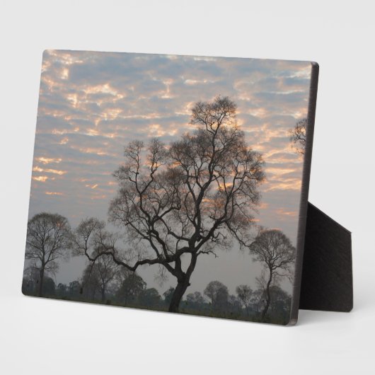 Pantanal Wetlands | Zuid-Amerika, Brazilië Fotoplaat (Zijkant)