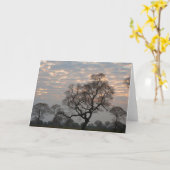 Pantanal Wetlands | Zuid-Amerika, Brazilië Kaart (Gele Bloem)