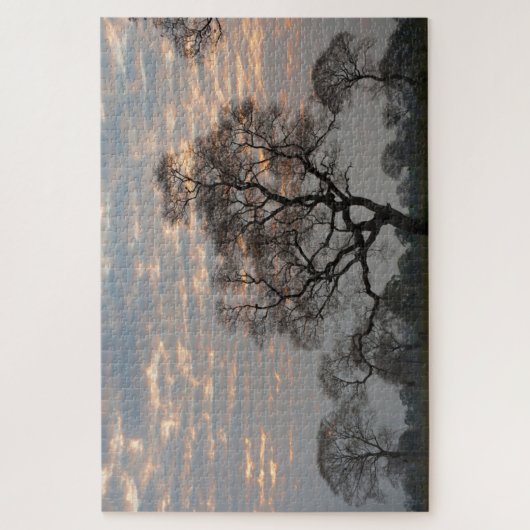 Pantanal Wetlands | Zuid-Amerika, Brazilië Legpuzzel (Verticaal)