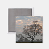 Pantanal Wetlands | Zuid-Amerika, Brazilië Magneet (Voorkant / Achterkant)