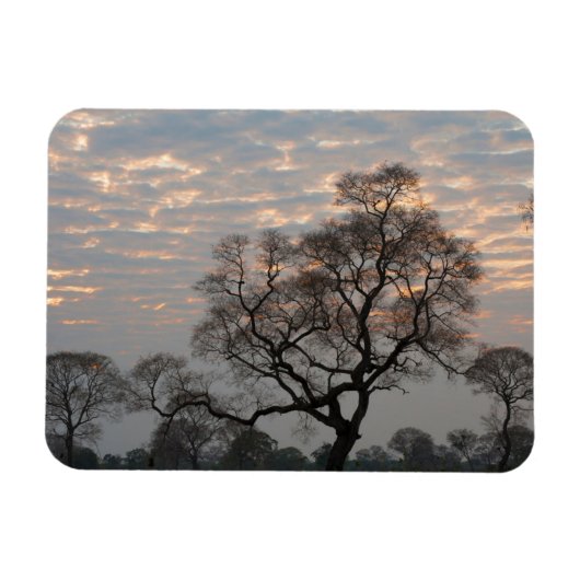 Pantanal Wetlands | Zuid-Amerika, Brazilië Magneet (Horizontaal)