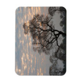 Pantanal Wetlands | Zuid-Amerika, Brazilië Magneet (Verticaal)