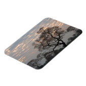 Pantanal Wetlands | Zuid-Amerika, Brazilië Magneet (Linkerzijde)