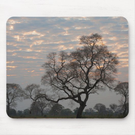 Pantanal Wetlands | Zuid-Amerika, Brazilië Muismat (Voorkant)