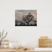 Pantanal Wetlands | Zuid-Amerika, Brazilië Poster (Keuken)