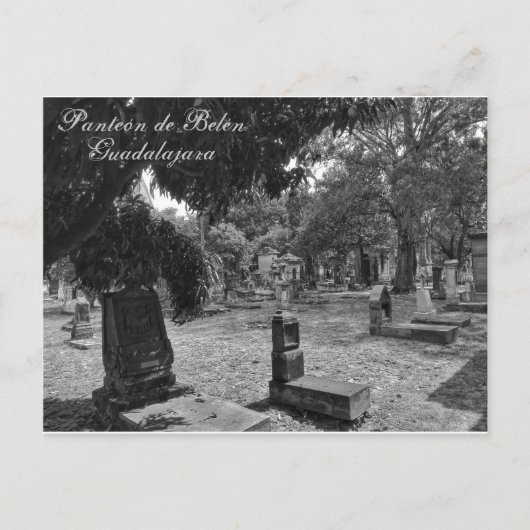 Panteón de Belén Blanco y Negro Briefkaart (Voorkant)