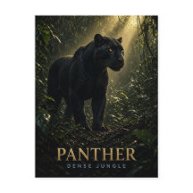 Panter Dichte Jungle Wildlife DIER