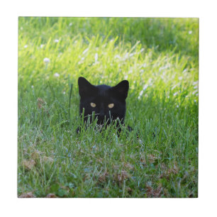 Panter in de gras tegeltje