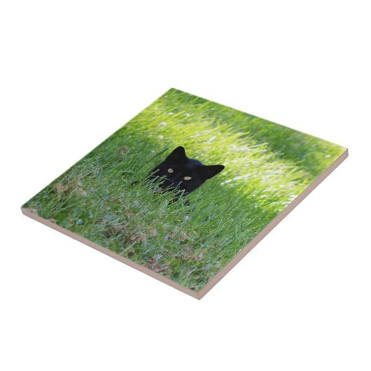 Panter in de gras tegeltje (Zijkant)