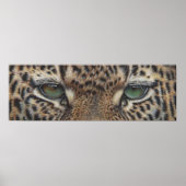 panter leopard ogen poster (Voorkant)