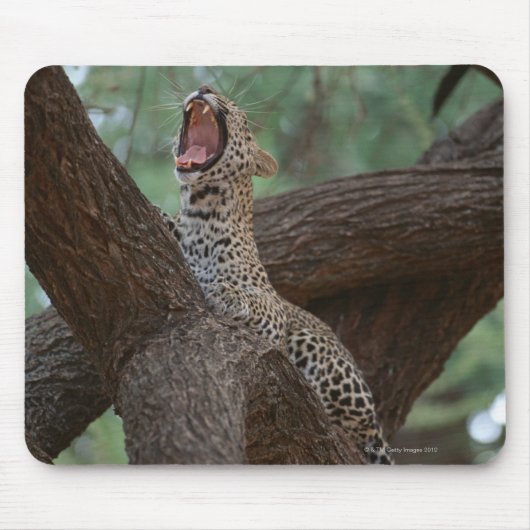 Panter Muismat (Voorkant)