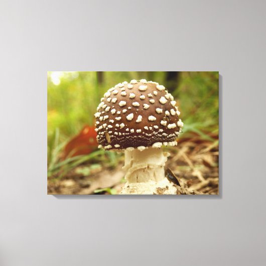 Panter Pet Mushroom Canvas Print (Voorkant)