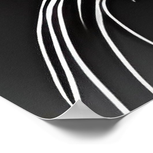 Panter Poster (Hoek)