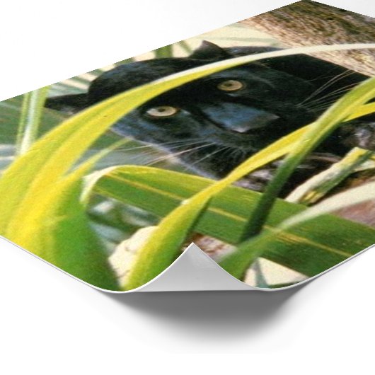 panter poster (Hoek)