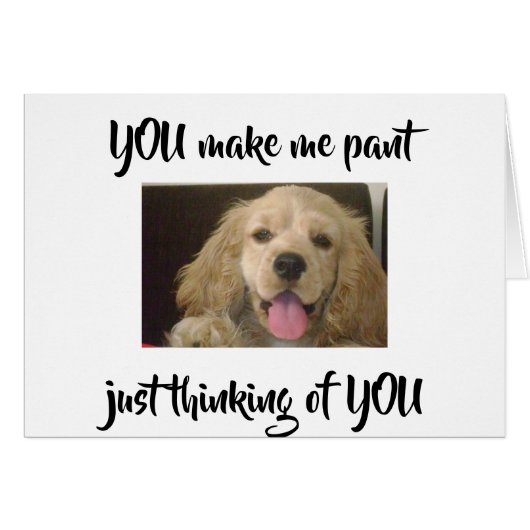 ***PANTEREN VOOR U** COMEDIC LOVE KAART (Voorkant Horizontaal)