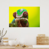 Panterkameleon, Madagaskar Poster (Keuken)