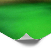 panterkameleon poster (Hoek)