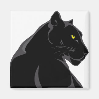 panther black magneet