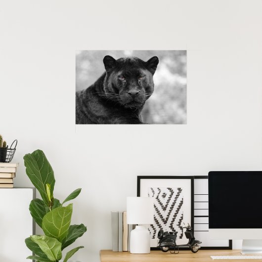 panther black poster (Thuiskantoor)