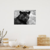 panther black poster (Keuken)