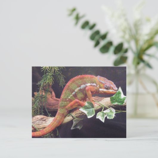 Panther Chameleon Briefkaart (Staand voorkant)