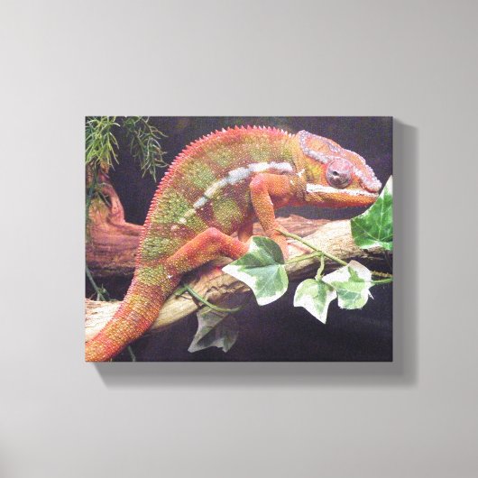 Panther Chameleon Canvas Afdruk (Voorkant)