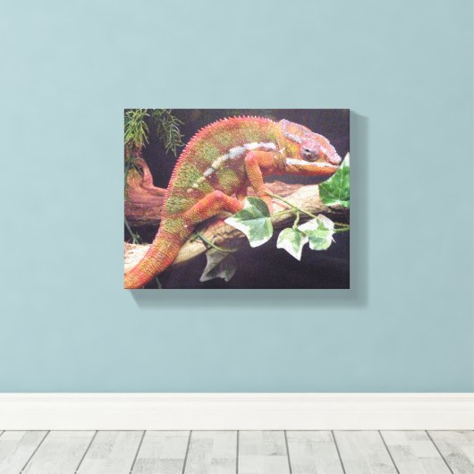 Panther Chameleon Canvas Afdruk (Insitu (Houten vloer))