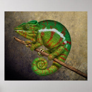 Panther Chameleon Digital Painting Poster