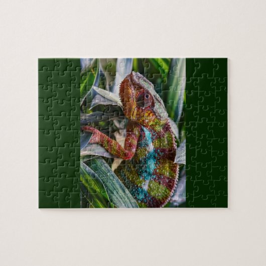 Panther Chameleon Legpuzzel (Horizontaal)