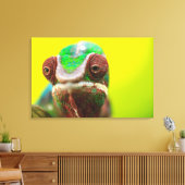 Panther Chameleon, Madagaskar Canvas Afdruk (Insitu (Woonkamer))