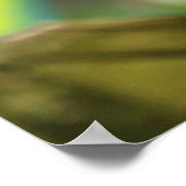 Panther Chameleon, Madagaskar Poster (Hoek)