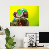 Panther Chameleon, Madagaskar Poster (Thuiskantoor)
