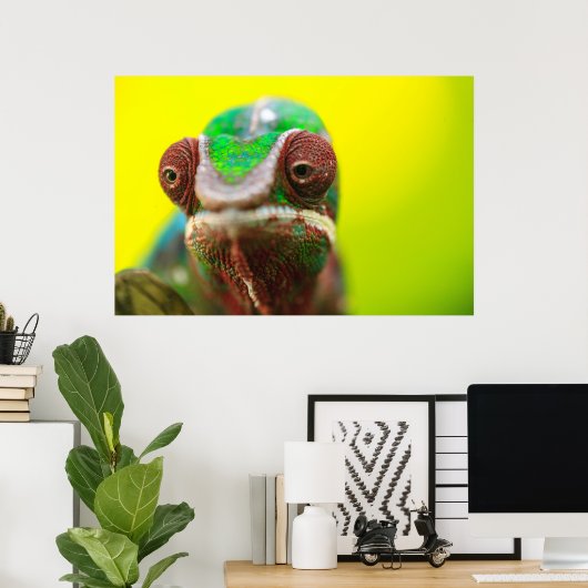 Panther Chameleon, Madagaskar Poster (Thuiskantoor)