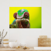 Panther Chameleon, Madagaskar Poster (Keuken)