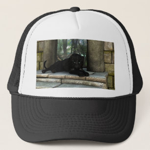 Panther-chauffeur, pet, te koop! trucker pet
