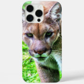 PANTHER iPHONE 16 PHONE CASE (Achterkant)