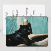 Panther met doorboren ogen kaart (Voorkant / Achterkant)