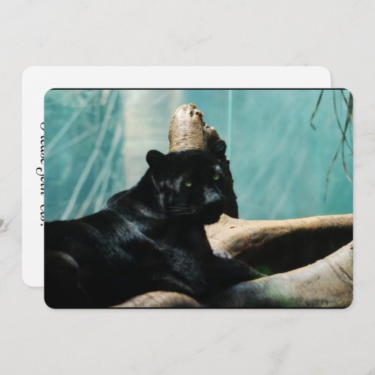 Panther met doorboren ogen kaart (Voorkant / Achterkant)