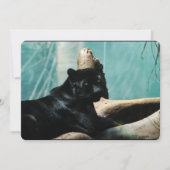 Panther met doorboren ogen kaart (Voorkant)