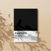Panther Movie Black - Volledige breedte Perfect Poster