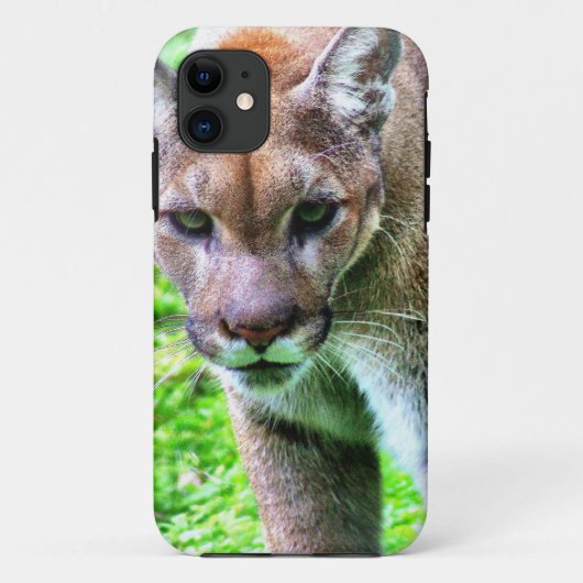 Panther ontwerp - i-telefoon geval Case-Mate iPhone case (Achterkant)