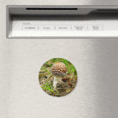Panther Pet paddenstoel Magnet (Insitu (Vaatwasser))
