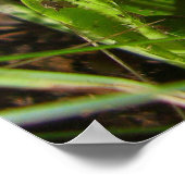 Panther Pet paddenstoel Poster (Hoek)