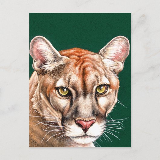 Panther Portrait Briefkaart (Voorkant)