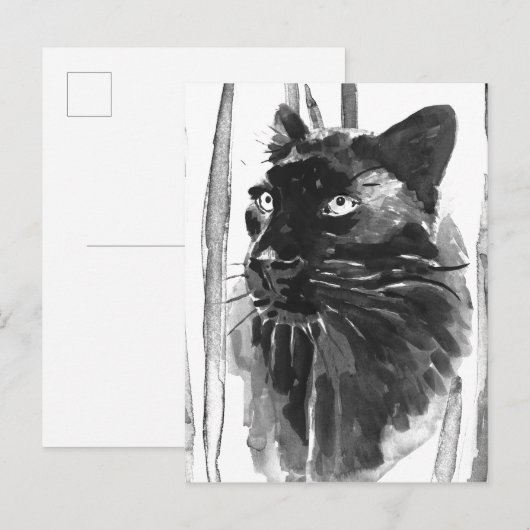 Panther Portrait Briefkaart (Voorkant / Achterkant)