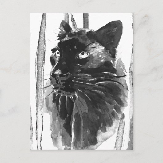 Panther Portrait Briefkaart (Voorkant)
