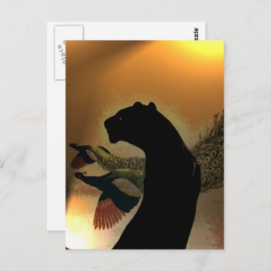 Panther Sunset Briefkaart (Voorkant / Achterkant)